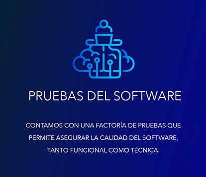pruebas del software